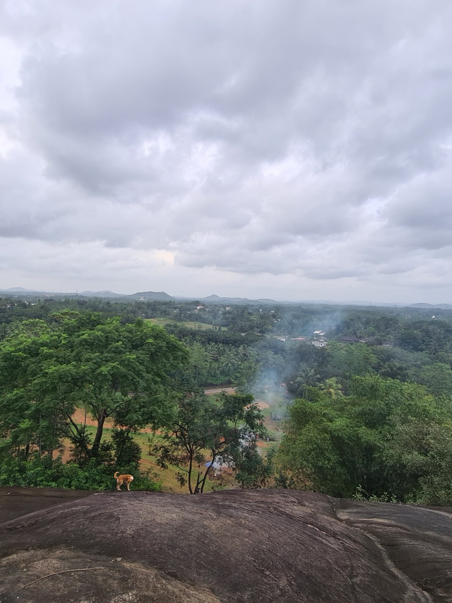 Lenagala Raja Maha Viharaya&nbsp;(Godagama)