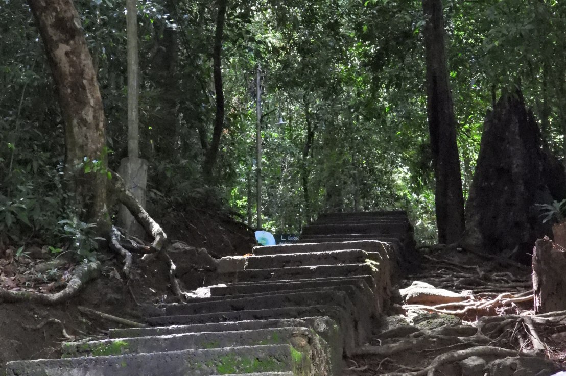 Bodhinagala Aranaya Senasanaya